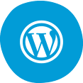 Wordpress Development